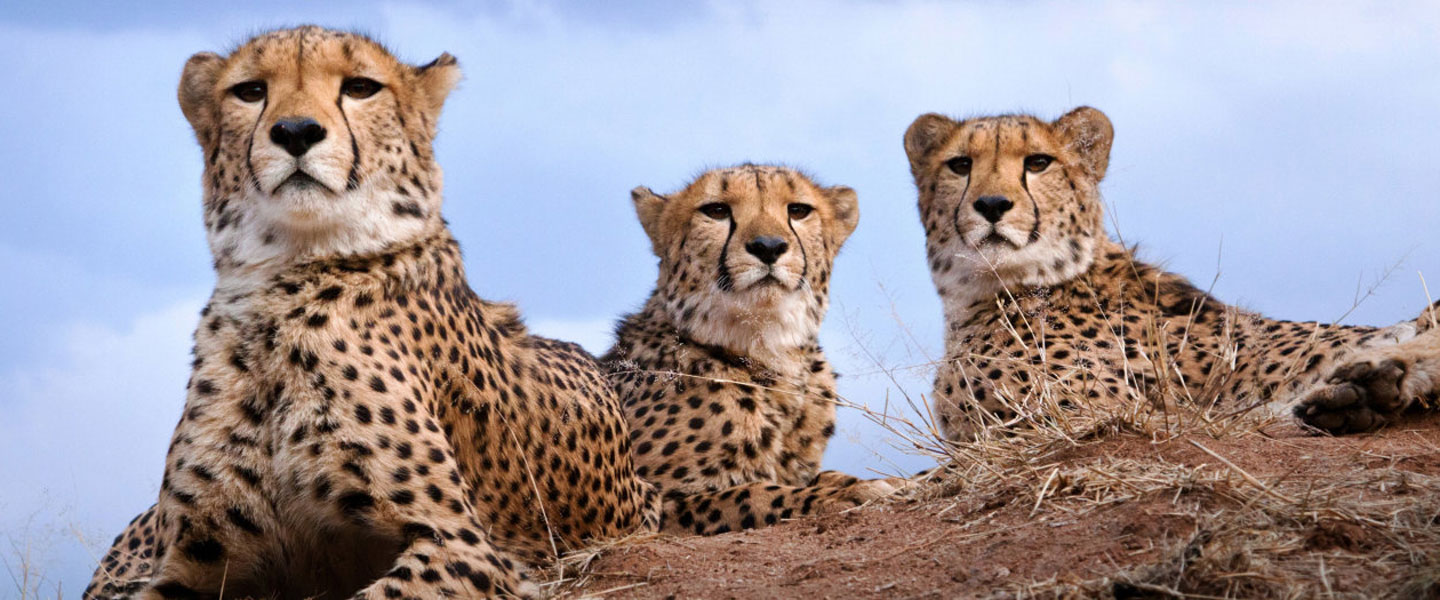 Hawaii Na Pali Coast