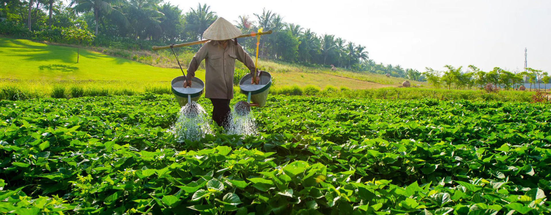 Hawaii Na Pali Coast