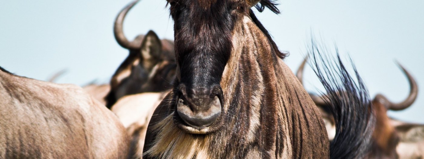 Hawaii Na Pali Coast