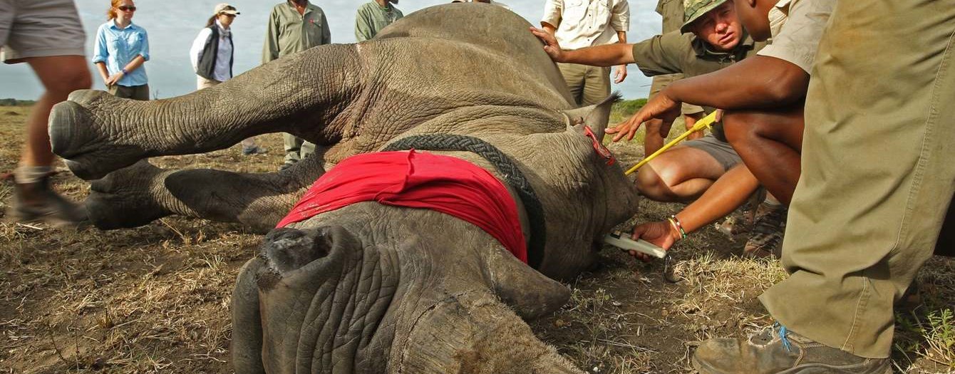 Hawaii Na Pali Coast