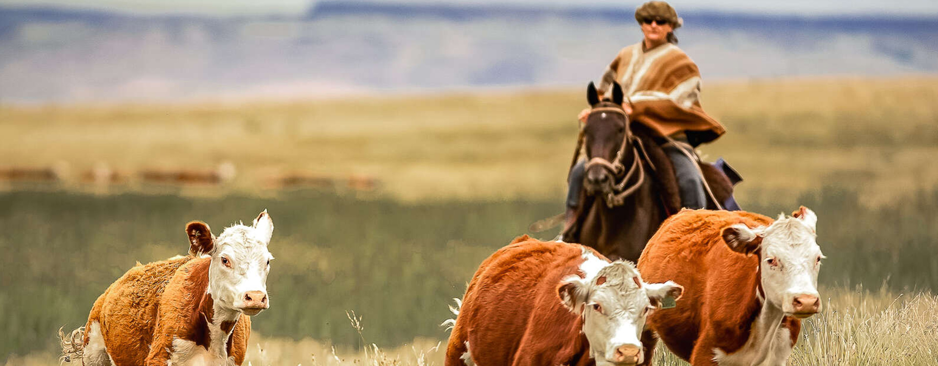Hawaii Na Pali Coast