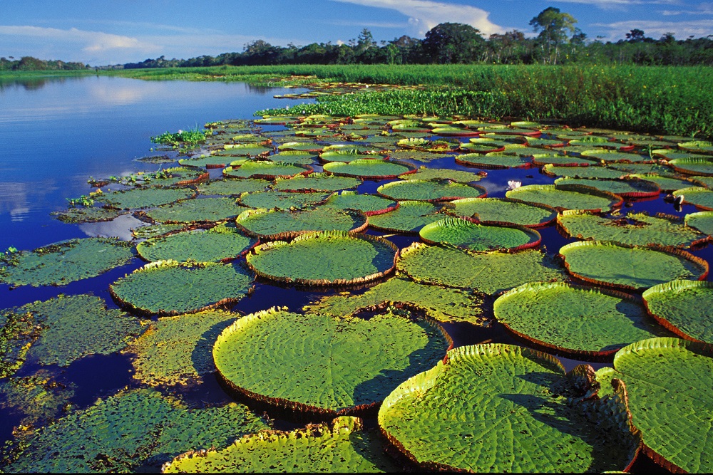 Hawaii Na Pali Coast