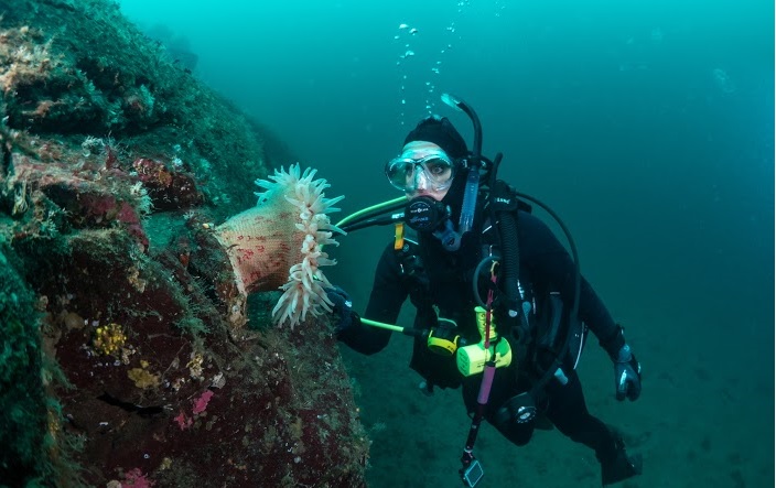 Hawaii Na Pali Coast