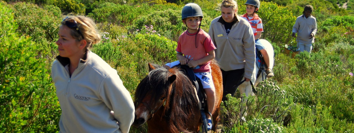 Hawaii Na Pali Coast