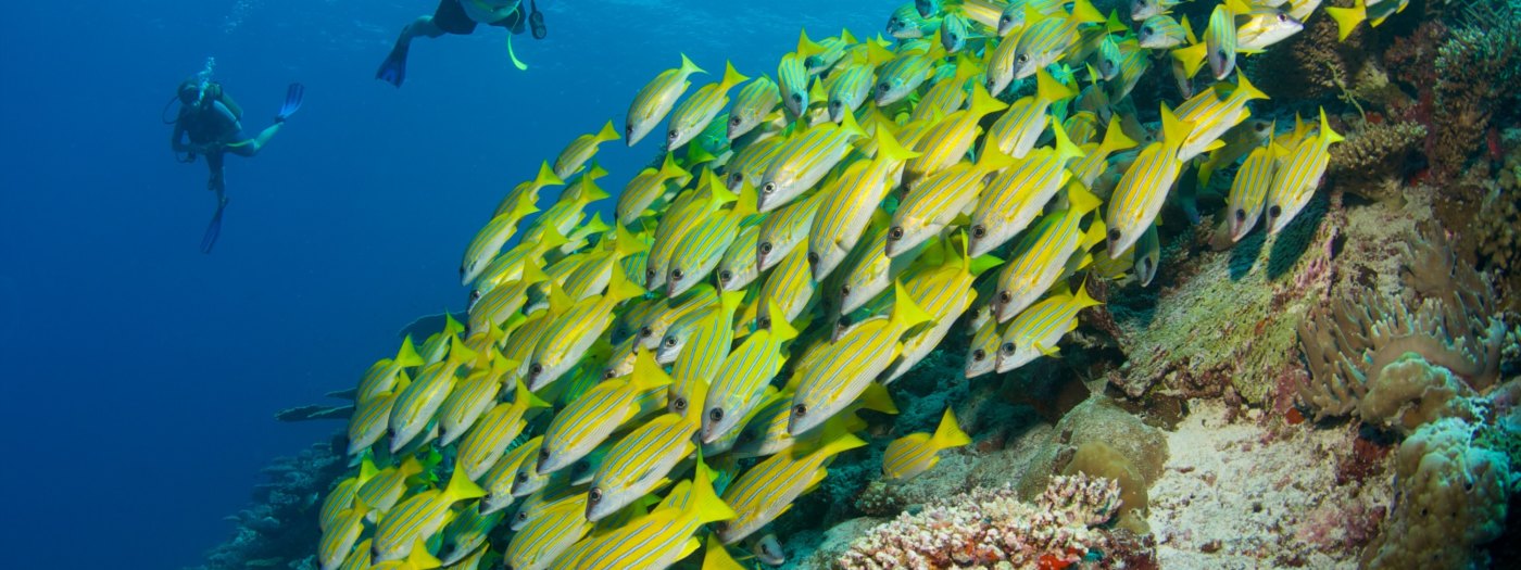 Hawaii Na Pali Coast