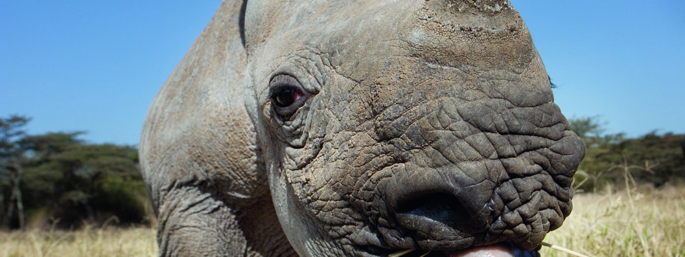 Hawaii Na Pali Coast