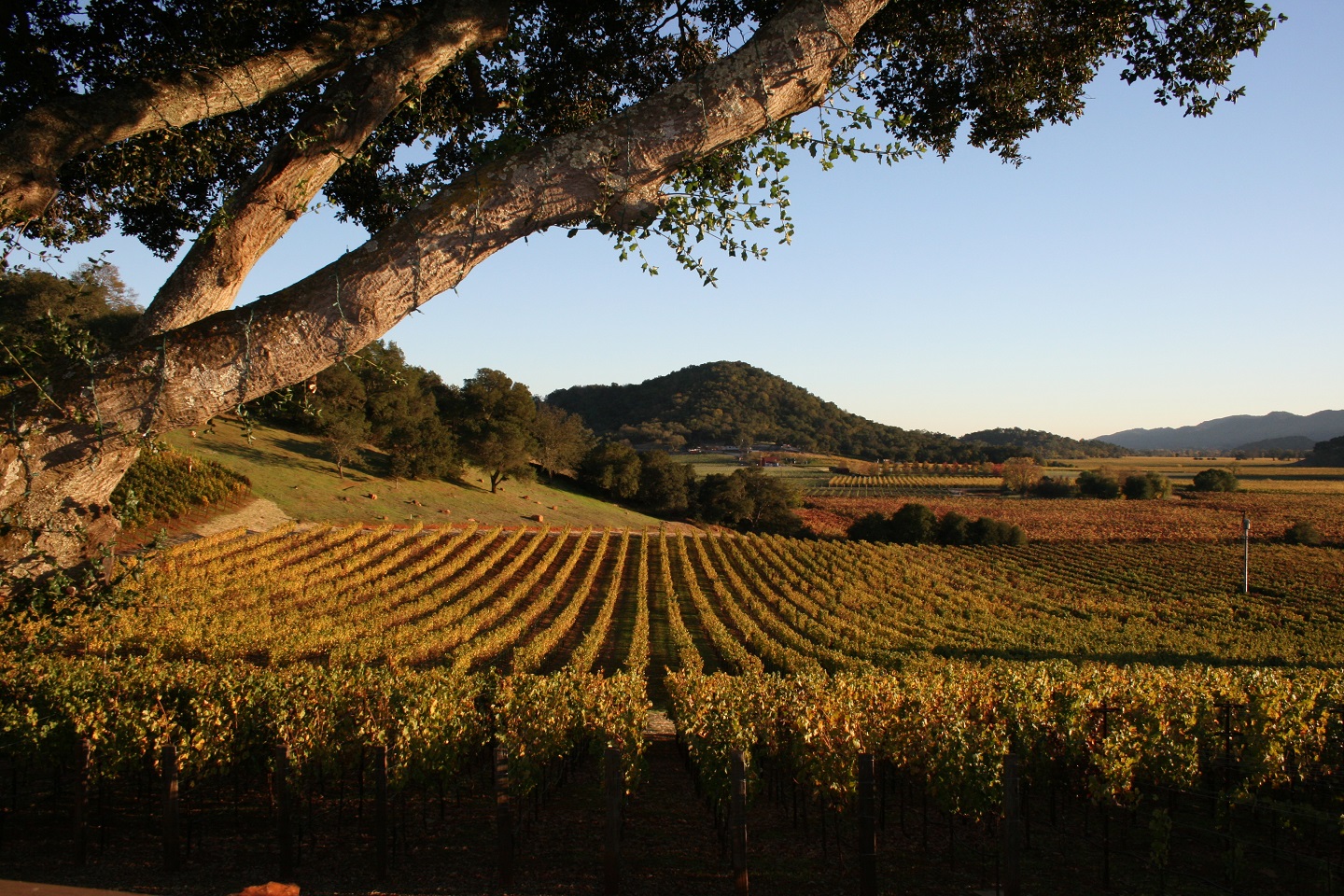 Hawaii Na Pali Coast