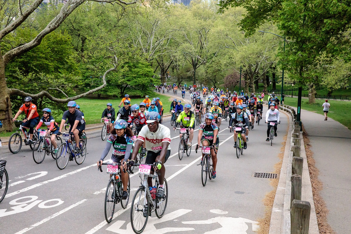Hawaii Na Pali Coast