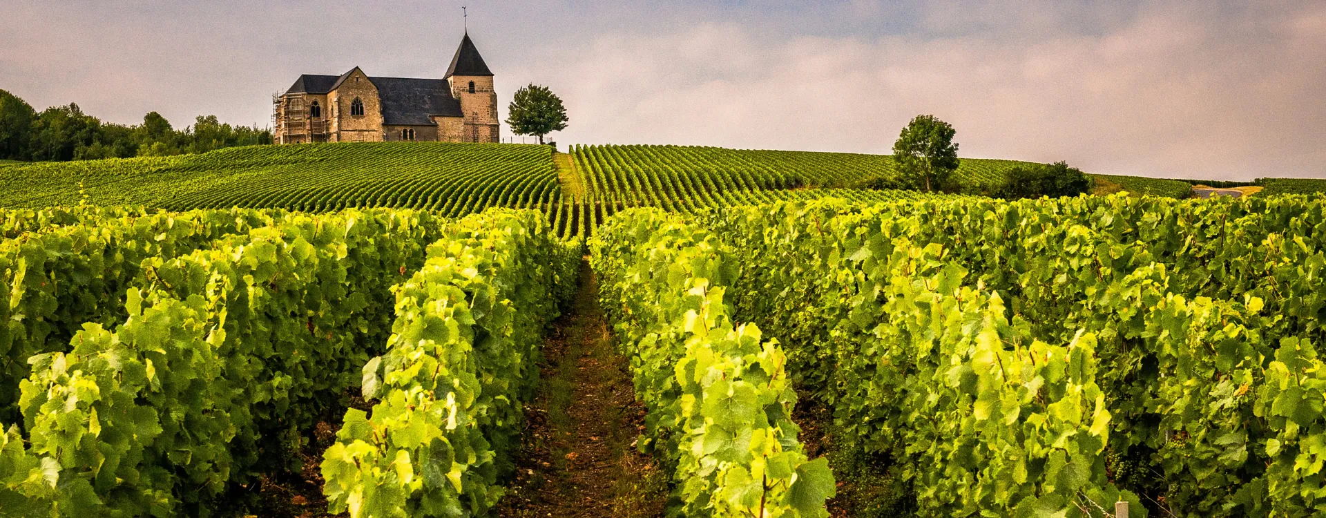 Hawaii Na Pali Coast