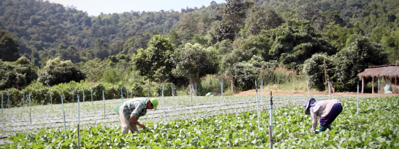 Hawaii Na Pali Coast