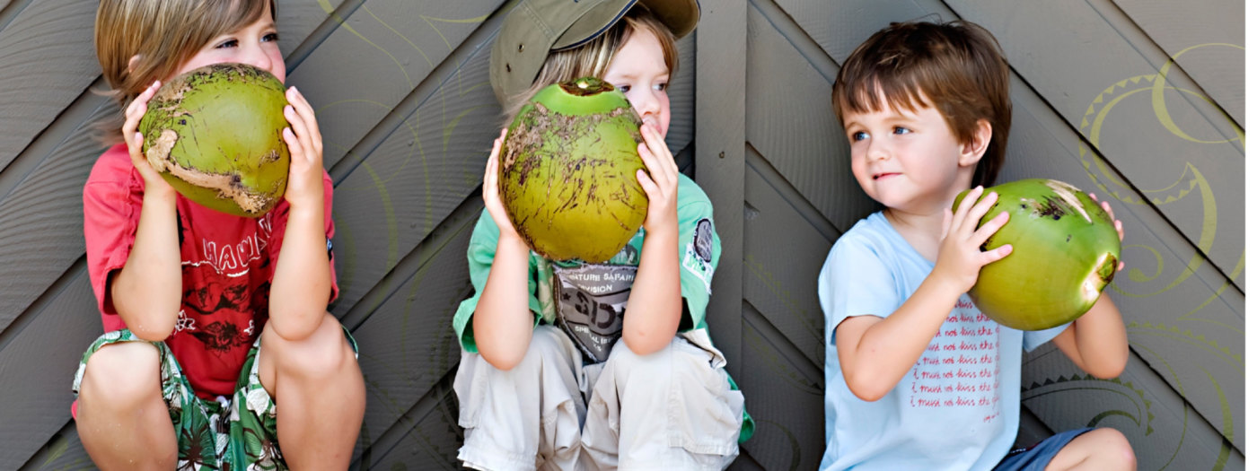 Hawaii Na Pali Coast