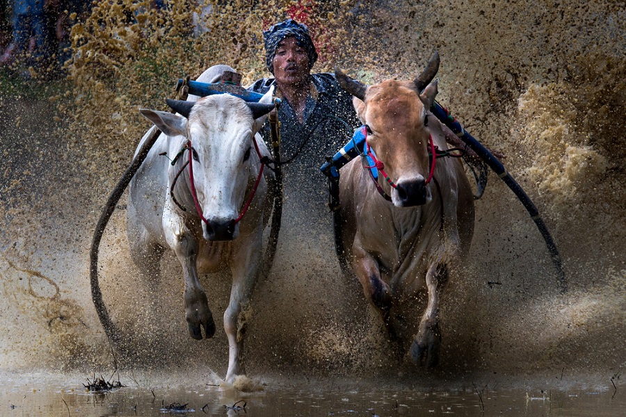 Hawaii Na Pali Coast