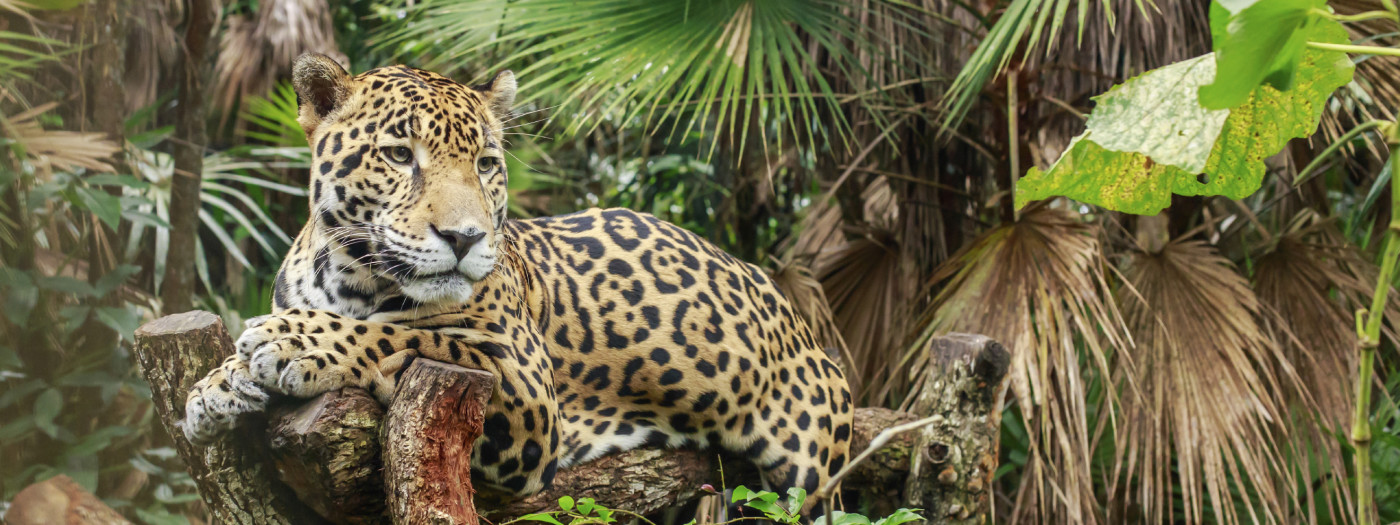 Hawaii Na Pali Coast