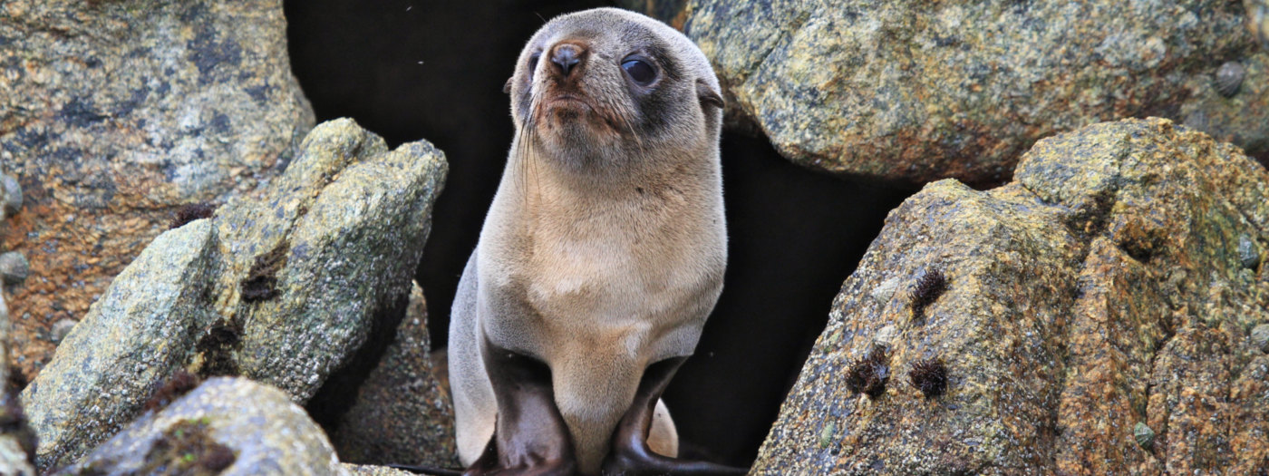Hawaii Na Pali Coast