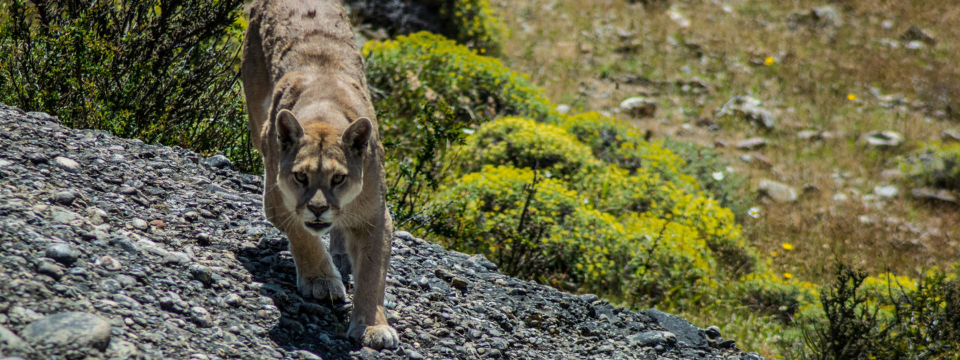 Hawaii Na Pali Coast