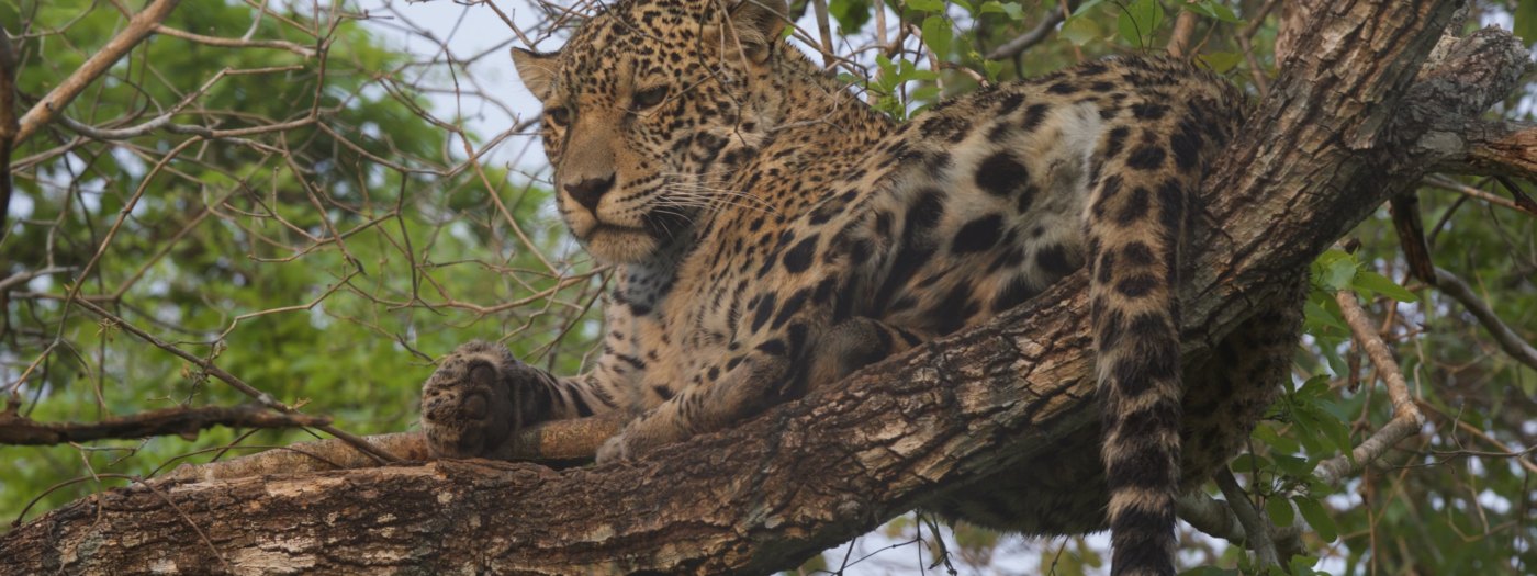 Hawaii Na Pali Coast