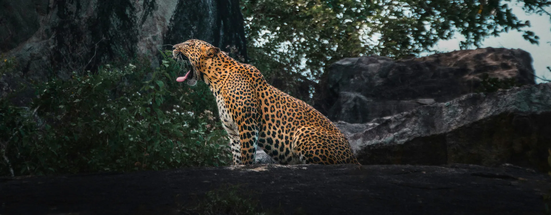 Hawaii Na Pali Coast
