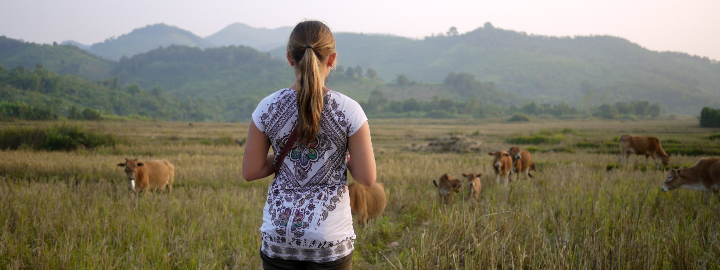 Hawaii Na Pali Coast