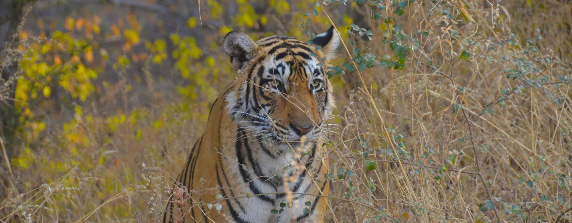 Hawaii Na Pali Coast
