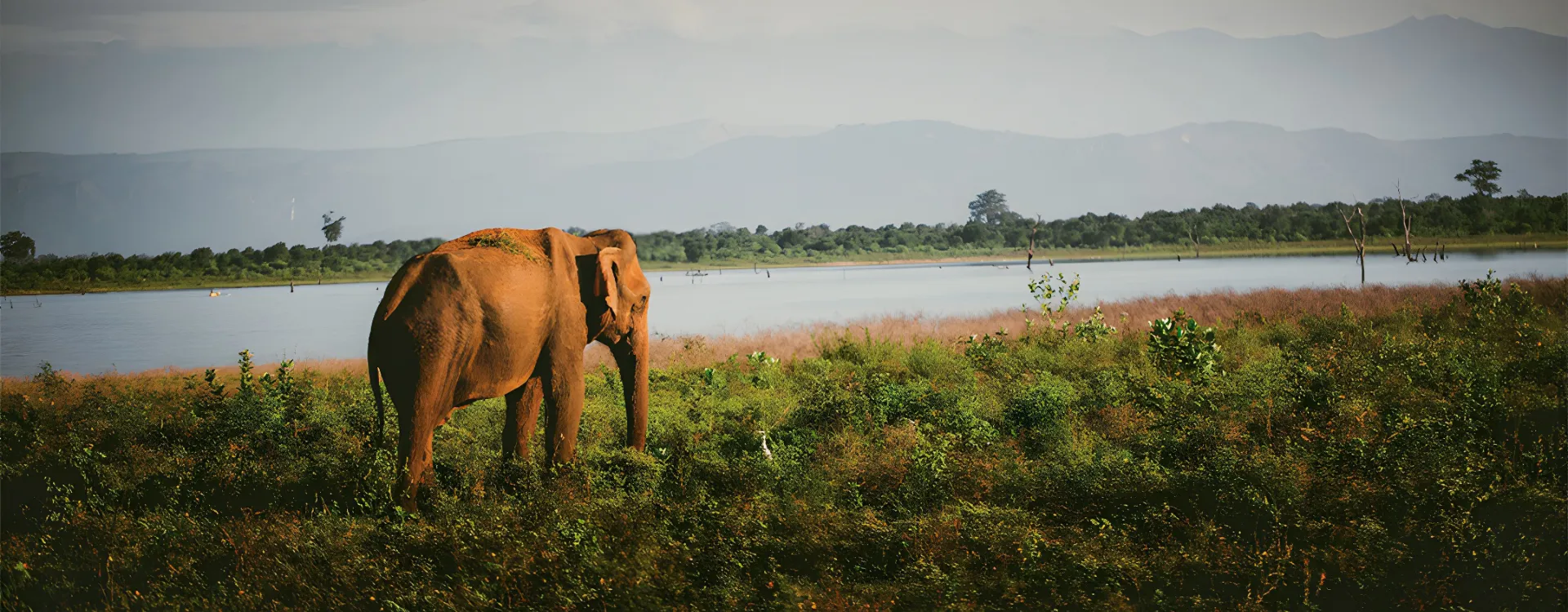 Hawaii Na Pali Coast