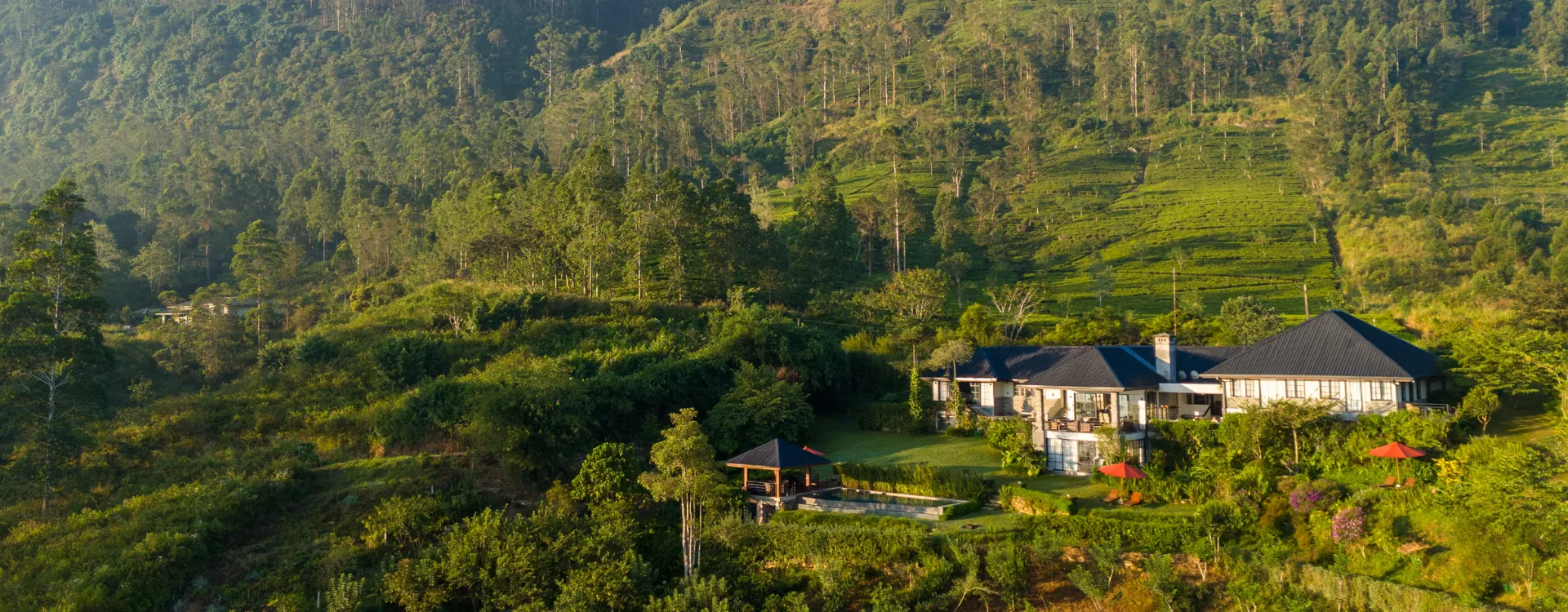 Aerial image of Cameilla Hills, Luxury holidays to Sri Lanka